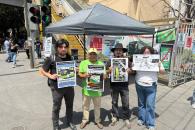 ´Plantan´ diputados a Alianza ´Plantan´ diputados a Alianza
