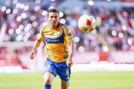 Tigres, a ganarlo
