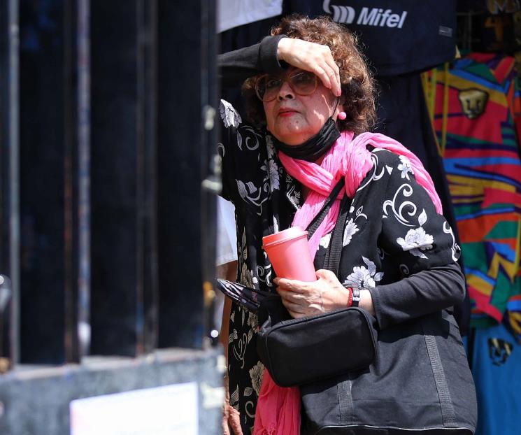 La IA te dice cómo proteger a niños y adultos mayores ante el calor La IA te dice cómo proteger a niños y adultos mayores ante el calor
