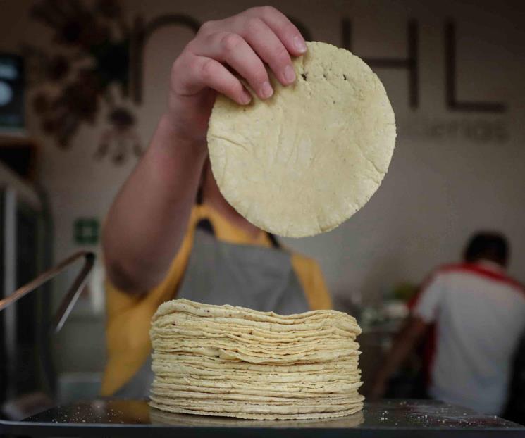 Tortilla podría subir más de 4 pesos si se reduce jornada laboral Tortilla podría subir más de 4 pesos si se reduce jornada laboral