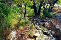 Denunciará San Pedro descargas irregulares en el Arroyo El Capitán