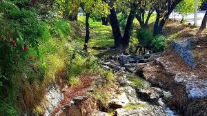 Denunciará San Pedro descargas irregulares en el Arroyo El Capitán Denunciará San Pedro descargas irregulares en el Arroyo El Capitán