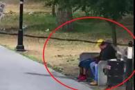 Roban a hombre dormido en la Alameda