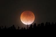 Así se vio la Luna de Flores 2025; usuarios comparten sus imágenes Así se vio la Luna de Flores 2025; usuarios comparten sus imágenes