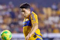 Tiene Tigres obligación de sacar ventaja ante Toluca Tiene Tigres obligación de sacar ventaja ante Toluca