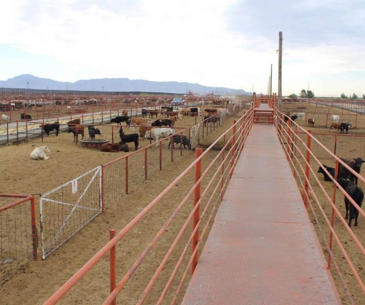 Gobierno y ganaderos en Coahuila exigen cierre de frontera sur Gobierno y ganaderos en Coahuila exigen cierre de frontera sur
