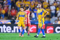Tigres, con experiencia en avanzar de visita Tigres, con experiencia en avanzar de visita