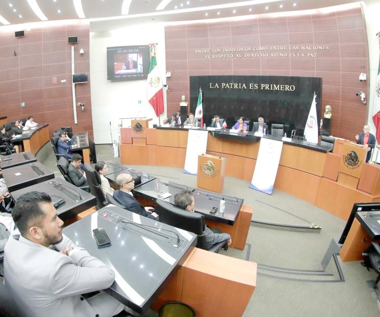 Busca Cámara Alta crear órgano que regule el litio Busca Cámara Alta crear órgano que regule el litio