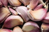 La planta que sustituye la sal en tus comidas y es muy saludable La planta que sustituye la sal en tus comidas y es muy saludable