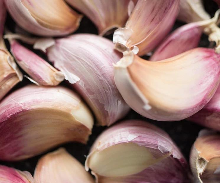 La planta que sustituye la sal en tus comidas y es muy saludable La planta que sustituye la sal en tus comidas y es muy saludable