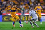 ´Tigres, un equipo del montón´: Chaco Giménez  ´Tigres, un equipo del montón´: Chaco Giménez