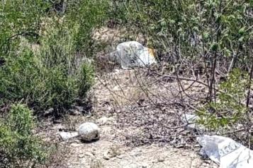 Localizan restos óseos