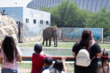 Acuden más de 400 a festejo de Monty