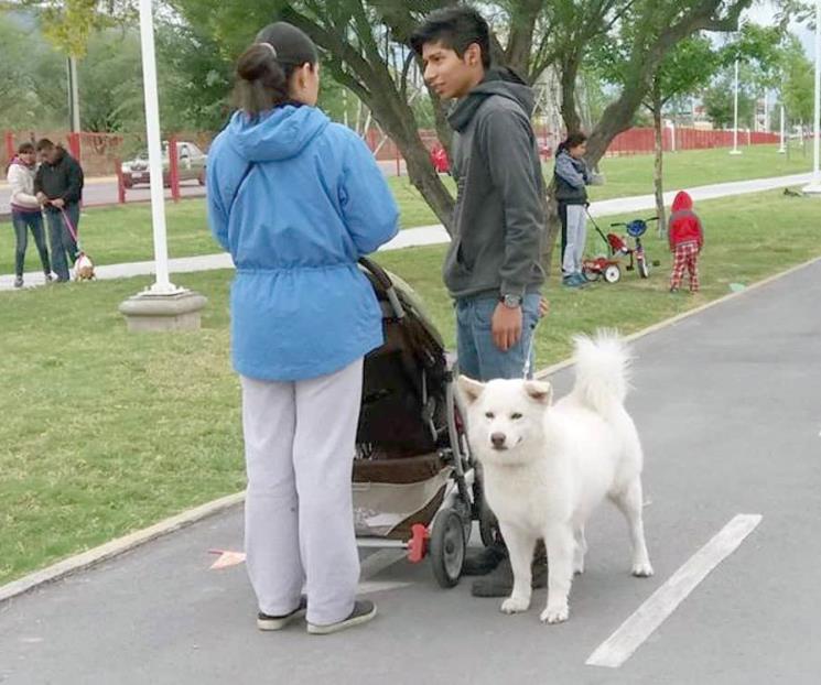Aprueban reformas a la Ley de Protección y Bienestar Animal Aprueban reformas a la Ley de Protección y Bienestar Animal