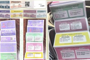 Perfila INE dictar medidas contra "acordeones" en elección judicial