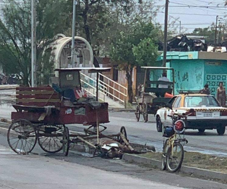 Muere caballo de carretonero