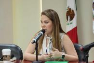 Piden hacer públicas sesiones de la Comisión Ambiental Metropolitana Piden hacer públicas sesiones de la Comisión Ambiental Metropolitana