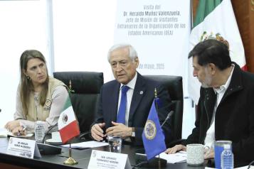 Observa OEA proceso judicial electoral; expresa preocupación