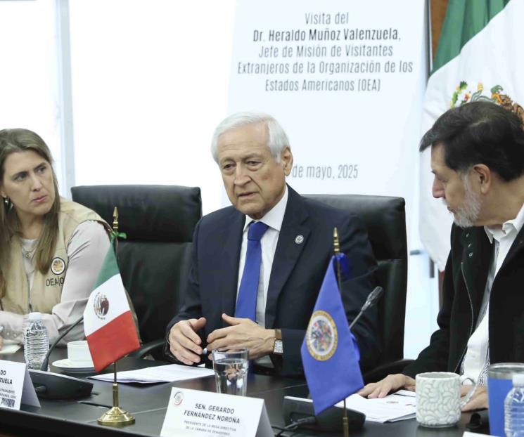 Observa OEA proceso judicial electoral; expresa preocupación Observa OEA proceso judicial electoral; expresa preocupación