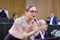 Busca GLPRI evitar el uso de colores partidistas en programas Busca GLPRI evitar el uso de colores partidistas en programas