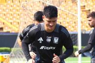Tigres, un plantel devaluado Tigres, un plantel devaluado