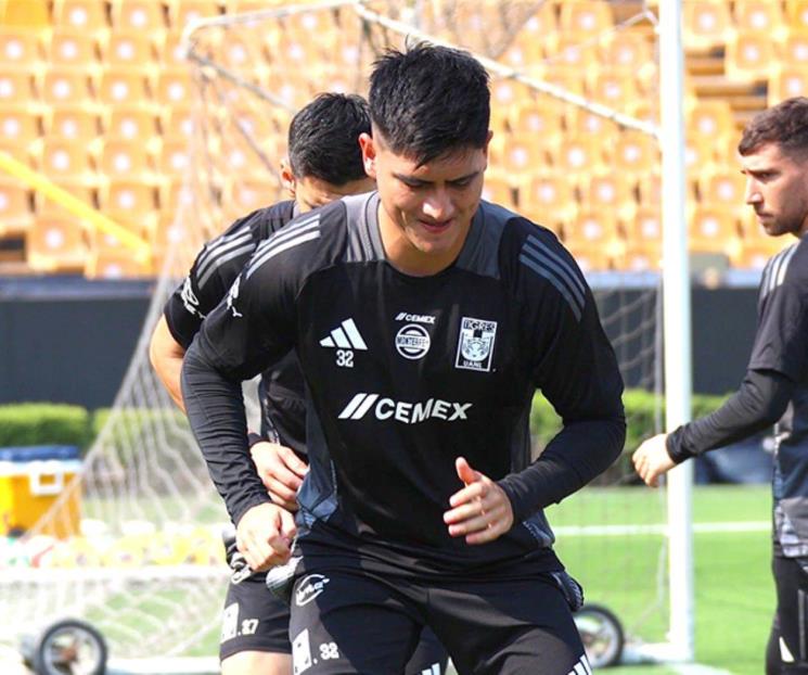 Tigres, un plantel devaluado Tigres, un plantel devaluado