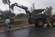 Reforestan plaza en Apodaca Reforestan plaza en Apodaca