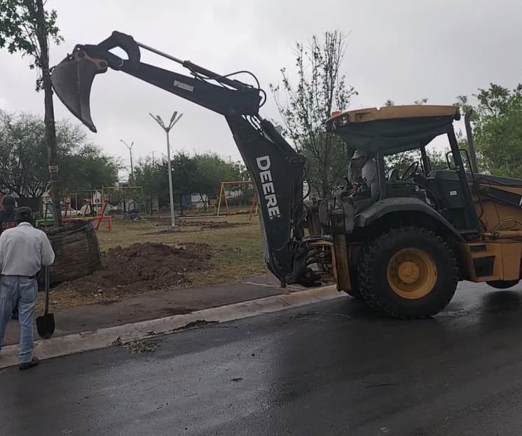 Reforestan plaza en Apodaca Reforestan plaza en Apodaca