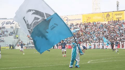Analiza Tigres tener amistoso frente al Tampico Madero