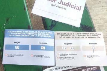 Reparten propaganda previo a las elecciones