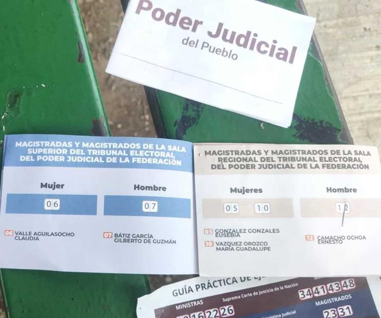 Reparten propaganda previo a las elecciones Reparten propaganda previo a las elecciones