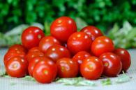 Cómo conservar los tomates frescos Cómo conservar los tomates frescos