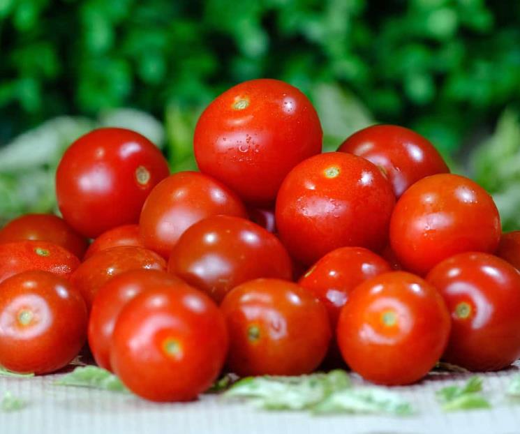 Cómo conservar los tomates frescos Cómo conservar los tomates frescos