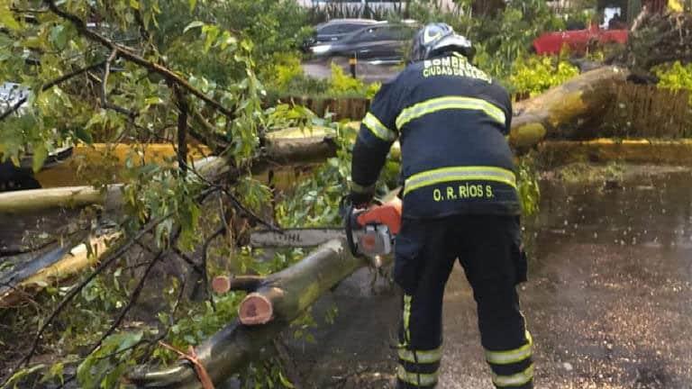 Emite CDMX alerta amarilla por vientos y lluvias fuertes Emite CDMX alerta amarilla por vientos y lluvias fuertes