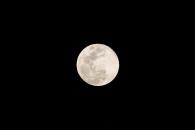 Luna de Fresa: ¿por qué se llama así al fenómeno astronómico? Luna de Fresa: ¿por qué se llama así al fenómeno astronómico?