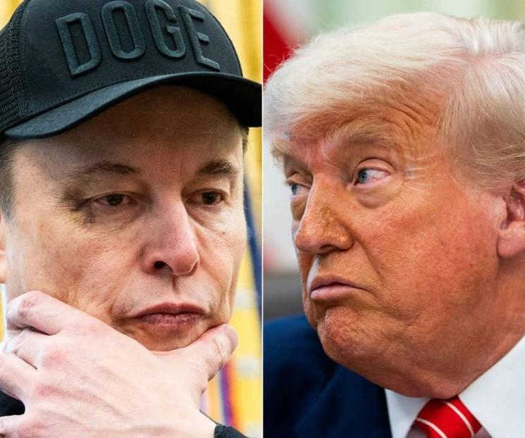 Tacha Musk de abominación repugnante megaproyecto de ley