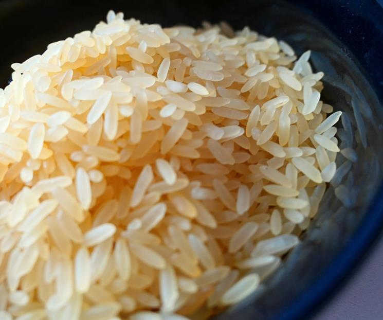 Qué pasa al hervir el arroz con vinagre Qué pasa al hervir el arroz con vinagre