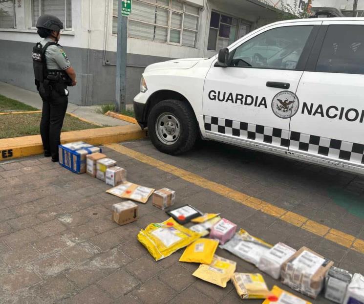 Decomisan mariguana en paquetería Decomisan mariguana en paquetería