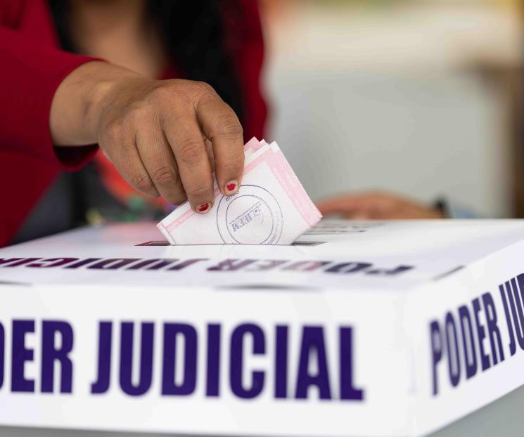 OEA emite informe preliminar de elección judicial en México