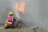 Aumentan un 65% incendios forestales en lo que va del año Aumentan un 65% incendios forestales en lo que va del año