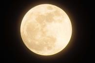 Luna de Fresa 2025: ¿cómo ver el fenómeno astronómico en México? Luna de Fresa 2025: ¿cómo ver el fenómeno astronómico en México?