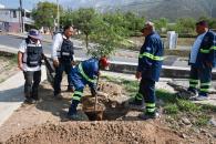 Reforestan parque en SP Reforestan parque en SP