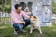 Realizan con éxito Feria de Adopción responsable Realizan con éxito Feria de Adopción responsable