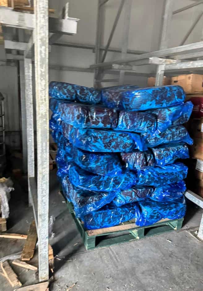 Elementos de la Agencia Estatal de Investigaciones realizaron un cateo en una bodega donde aseguraron carne, producto de un robo en Escobedo.