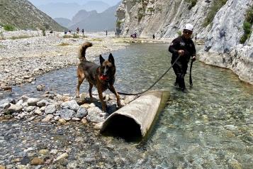 Comienza Grupo Jaguares de SC una capacitación integral