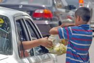 Busca Nuevo León erradicar el trabajo infantil Busca Nuevo León erradicar el trabajo infantil