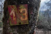 Viernes 13: ¿de dónde viene el miedo a esta fecha?