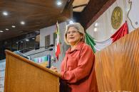 Pide Pámanes ir más a fondo con el tema de los choques menores Pide Pámanes ir más a fondo con el tema de los choques menores