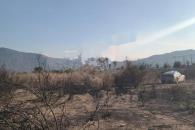 Localizan a mujer sin vida en predio baldío de García Localizan a mujer sin vida en predio baldío de García