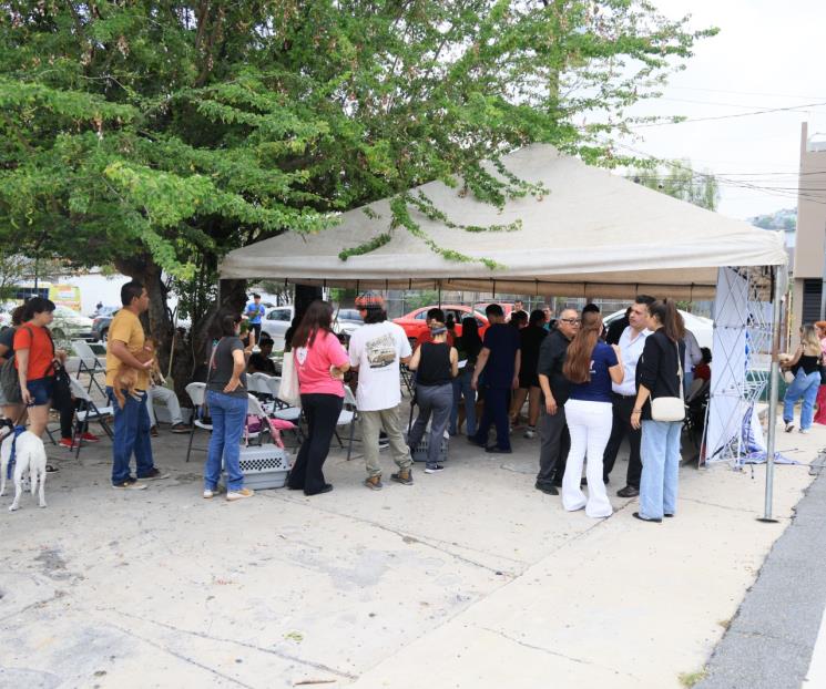 Realiza Monterrey actividades para garantizar el bienestar animal Realiza Monterrey actividades para garantizar el bienestar animal
